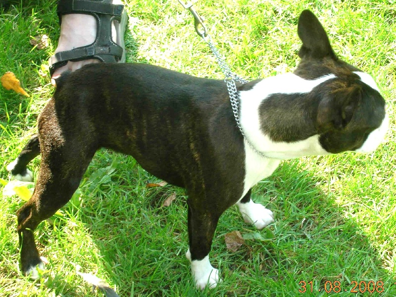 Cyrène des Hauts coureurs