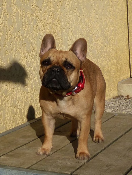 Ilou du Comte d'Orval